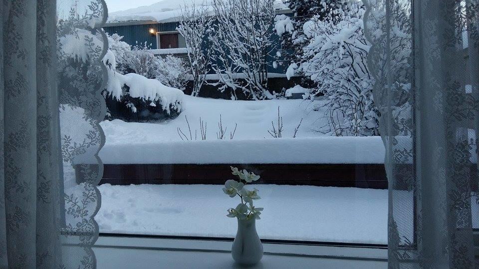 Appartement Mariubaer *
